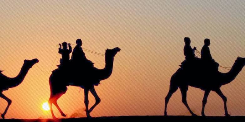 camel safari in jaisalmer jaipur photos